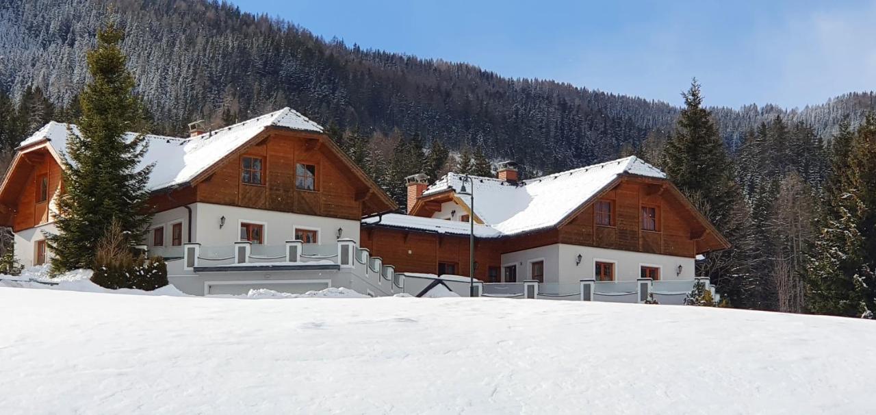 Ferienhaus Alpenblick Krakauschatten Zewnętrze zdjęcie